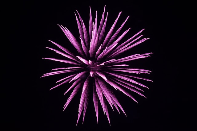 Vuurwerk